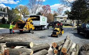  Valinda, CA Tree Care Pros